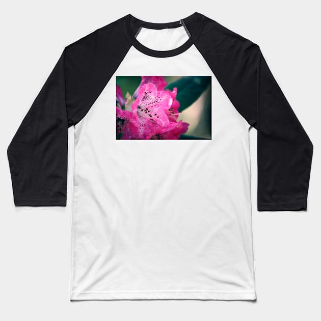 Pink Rhododendron Bloom Baseball T-Shirt by InspiraImage